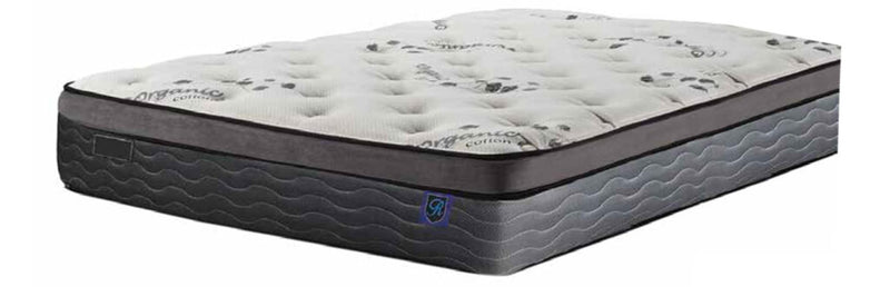 Century 12" Euro Top Mattress 🍁